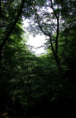 Down the valley