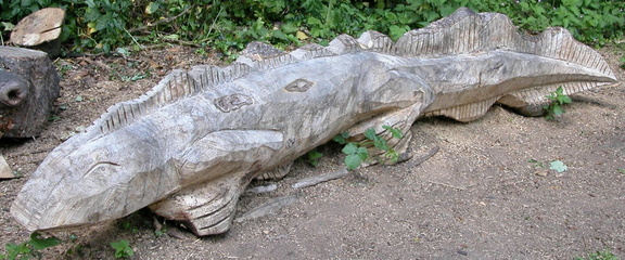 Lizard