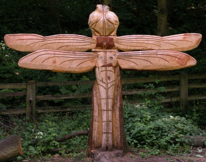 Dragonfly