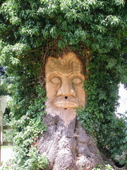Face