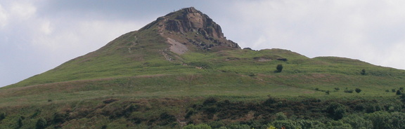 Roseberry