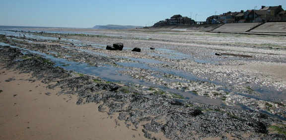 Rocks to Saltburn
