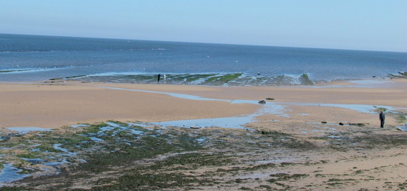 Rocks leading to sea