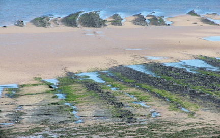 Rocks leading into sea
