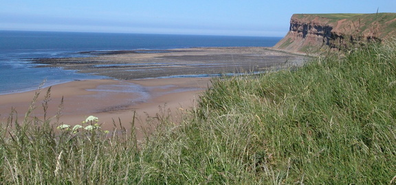 Beach and rocks