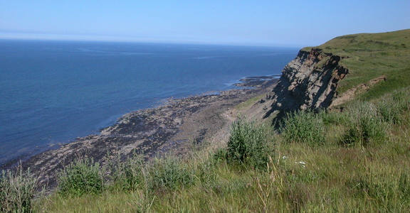 Rocky beach