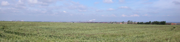 Landscape
