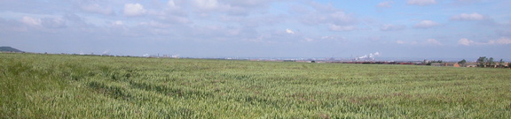 Fields