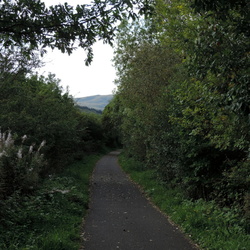 Callander