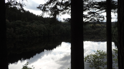 Loch through the trees