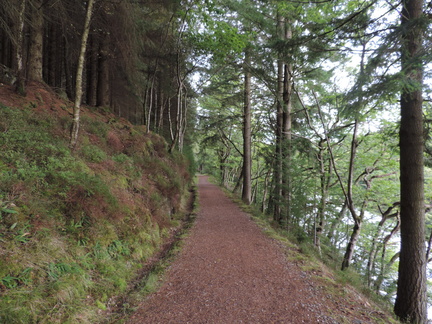 Path