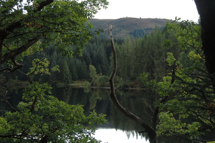 Across the Loch