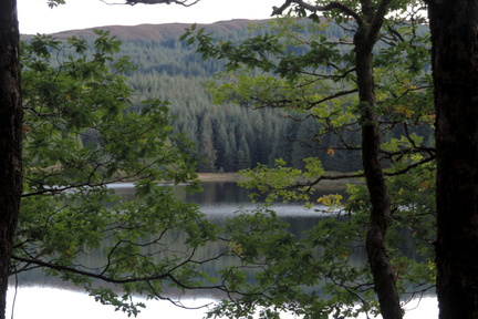 Across the Loch