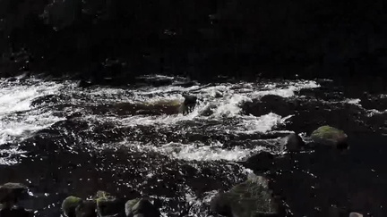 River