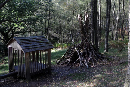 Shelter