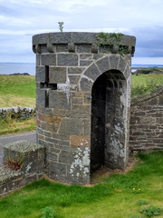 Folly