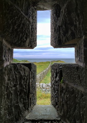 Through the window