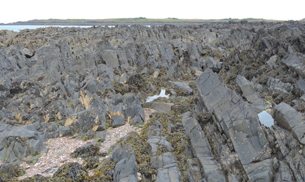 Over the rocks