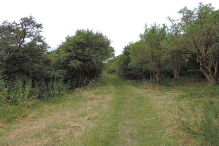 Path