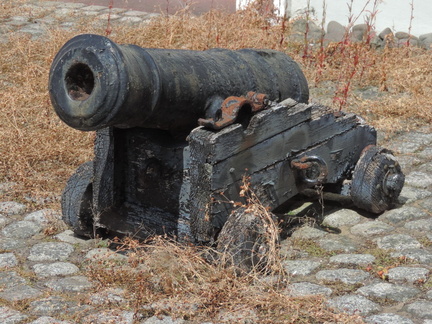 Cannon