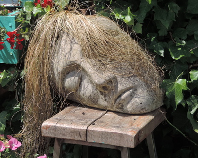 Head
