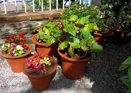 Pots