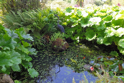 Pond