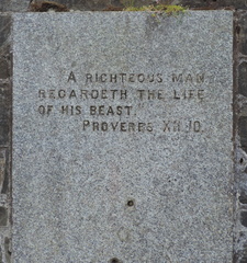 Plaque