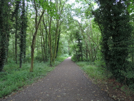 Avenue