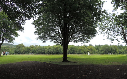 Across the park