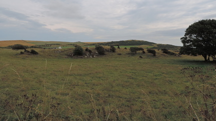Landscape