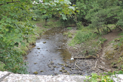 Stream