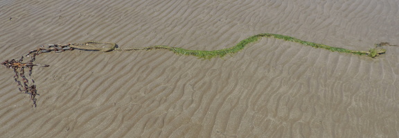 Chain and rope