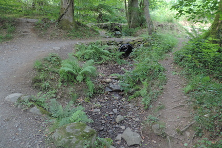 Stream
