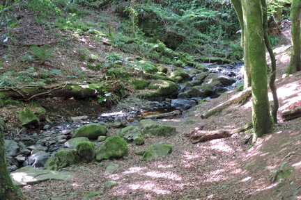 Stream