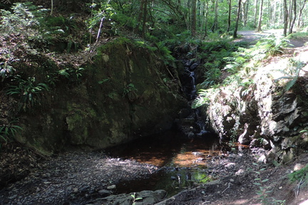 Stream