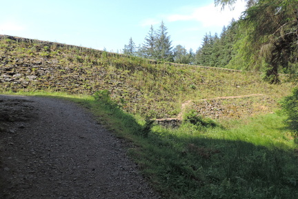 Dam