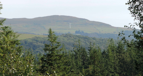 Turbine