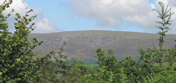 Hillside