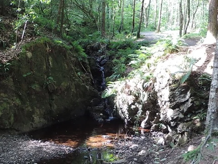 Stream