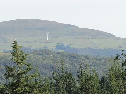 Turbine
