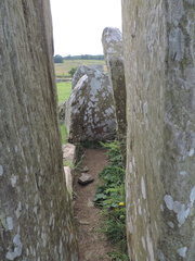 Chamber