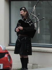 Piper