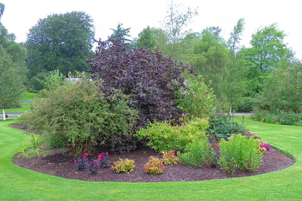 Rockery
