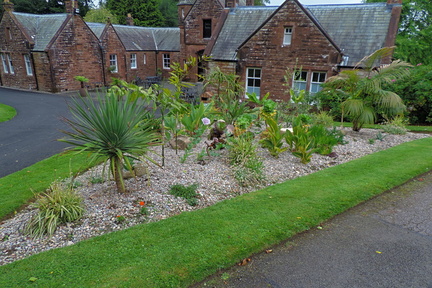 Dry garden
