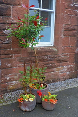 Pots