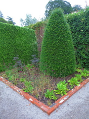 Square garden