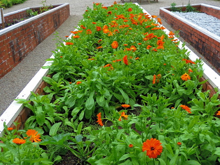 Flower bed
