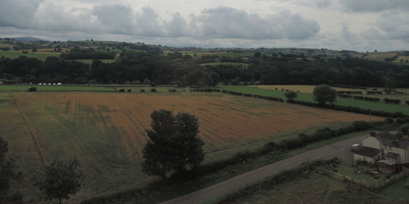 Fields