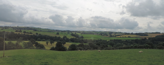 Fields